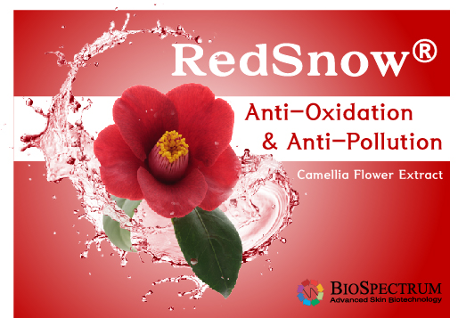 동백꽃잎,항염·항산화 기능에 안티폴루션 효과까지