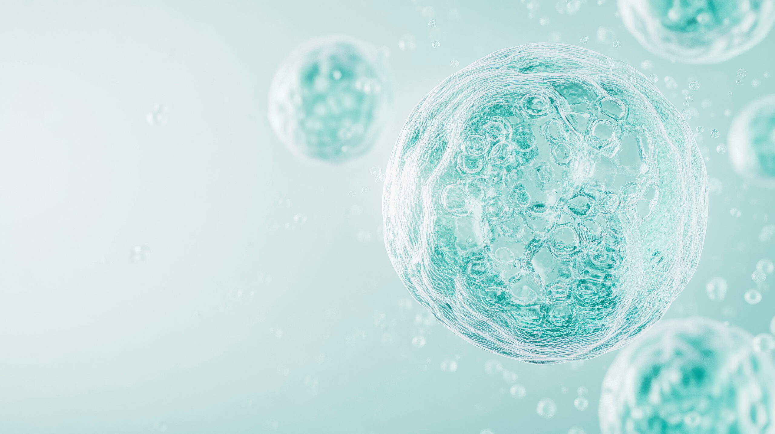 떠오르는 신기술 🚀 하이브리드 엑소좀?!🪴